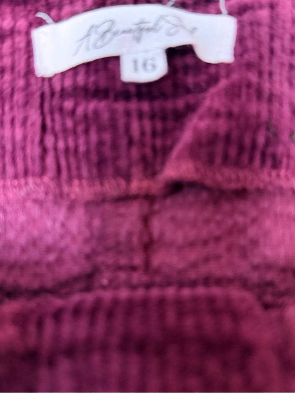 Altar’d State A Beautiful Soul Burgundy Corduroy Button Front Mini Skirt - Picture 3 of 9